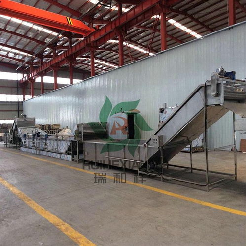 海帶提取設備 瑞和食品機械廠家的專業銷售服務