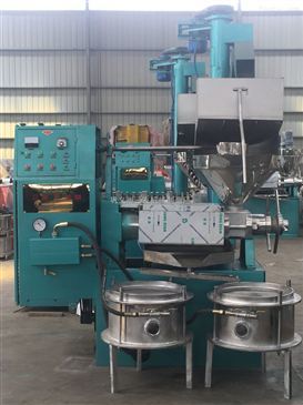 蘇籽榨油機設備采購指南 中國食品機械設備網一站式解決方案